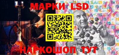 дмт Кингисепп