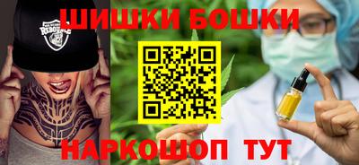 дмт Кингисепп