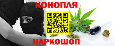 дмт Кингисепп
