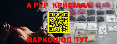 дмт Кингисепп