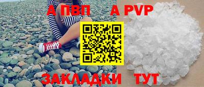 дмт Кингисепп