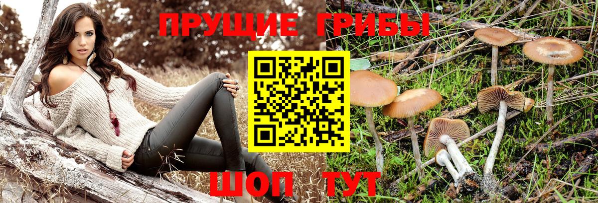Псилоцибиновые грибы GOLDEN TEACHER Ишимбай